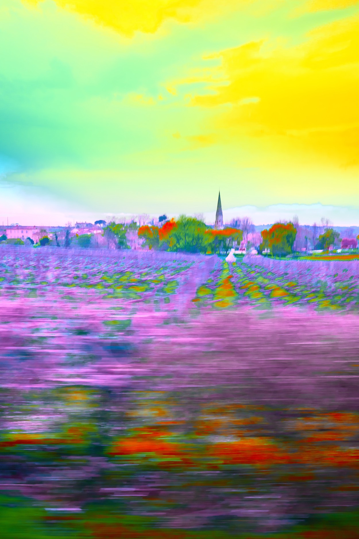 Sauternes I